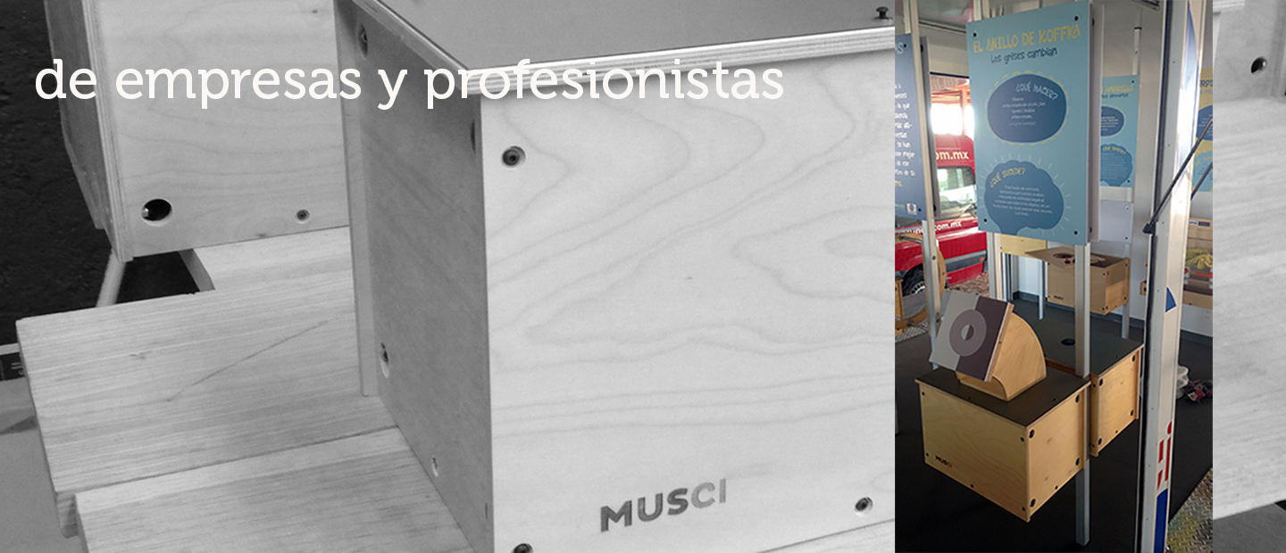 desarrollo de contenidos